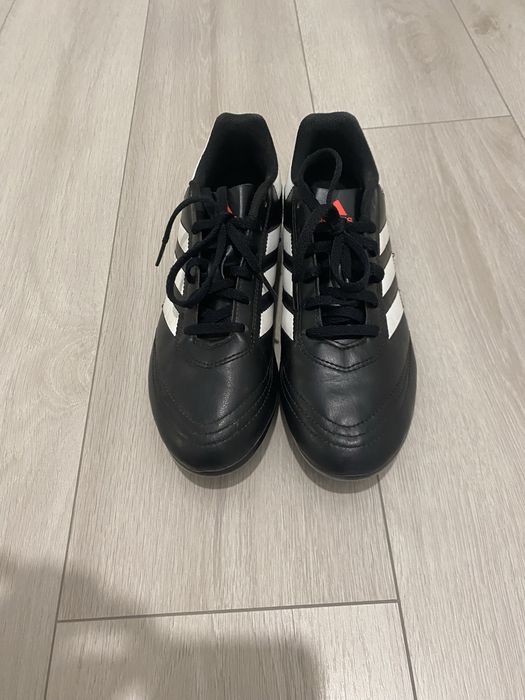 Продам буци оригінальні