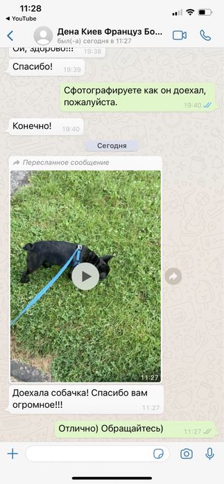 Адресная доставка животных Польша, Германия. Доставка, перевезення