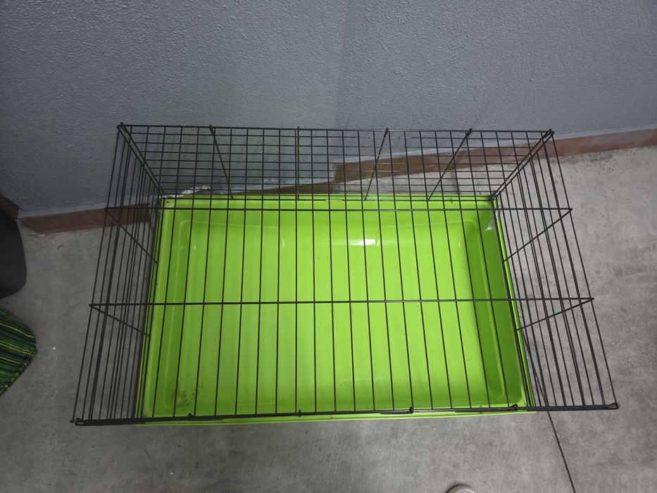 Gaiolas animais de pequeno porte