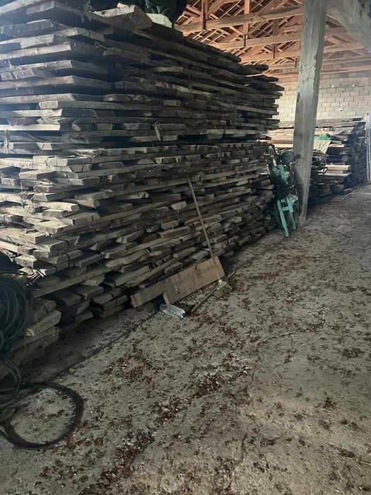 Madeira de castanho de braganca
