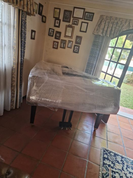 Empresa de Mudanças Profissionais