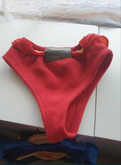 Fato Carnaval Super Homem