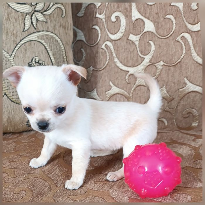 Нежнейшая малышка