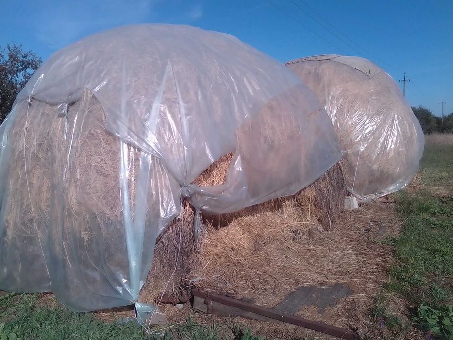 Продам сіно степове