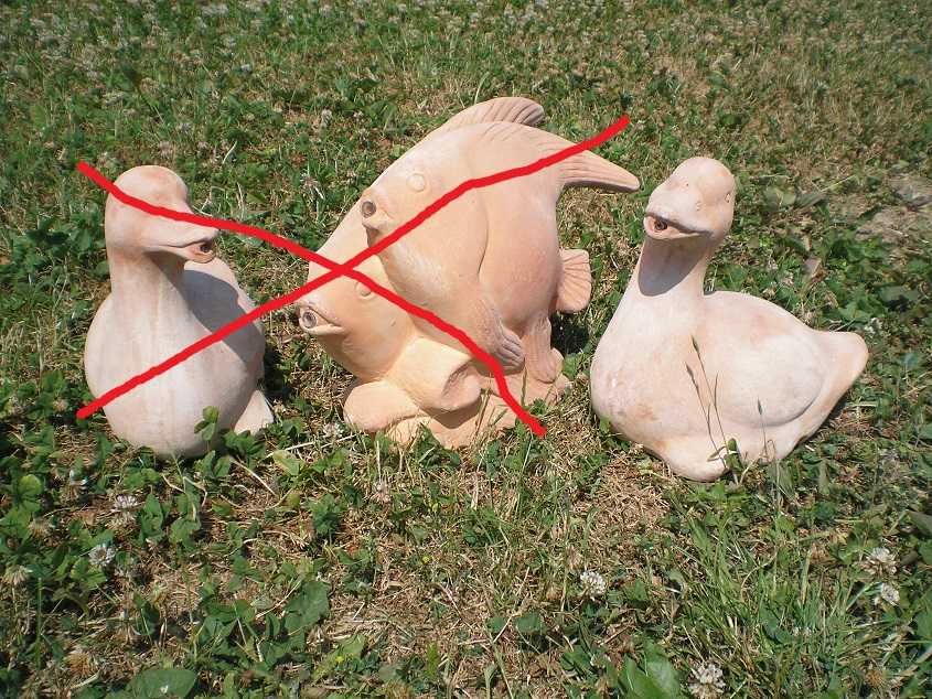 Kaczka  do oczka wodnego