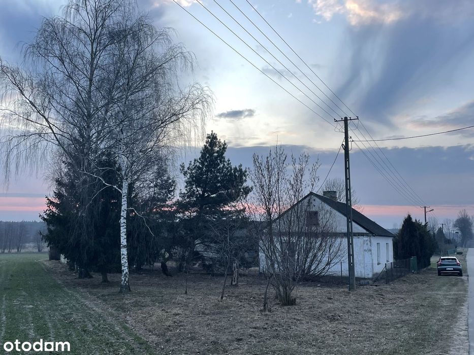 Działka siedliskowa 29700 m² z mediami - Widok 2