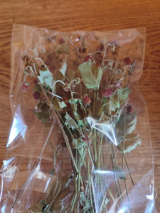 Трави на чай: суниця, липа, м'ята