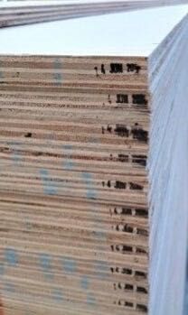 Sklejka suchotrwała lekka FALCATA 1250×2500 g. 3,6; 5; 9; 12; 15; 18mm