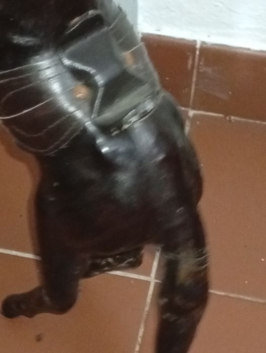 Cavalo de Madeira para amantes de cavalos