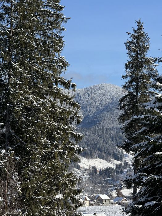 Відпочинок в Карпатах. Відпочинок у Ворохті
