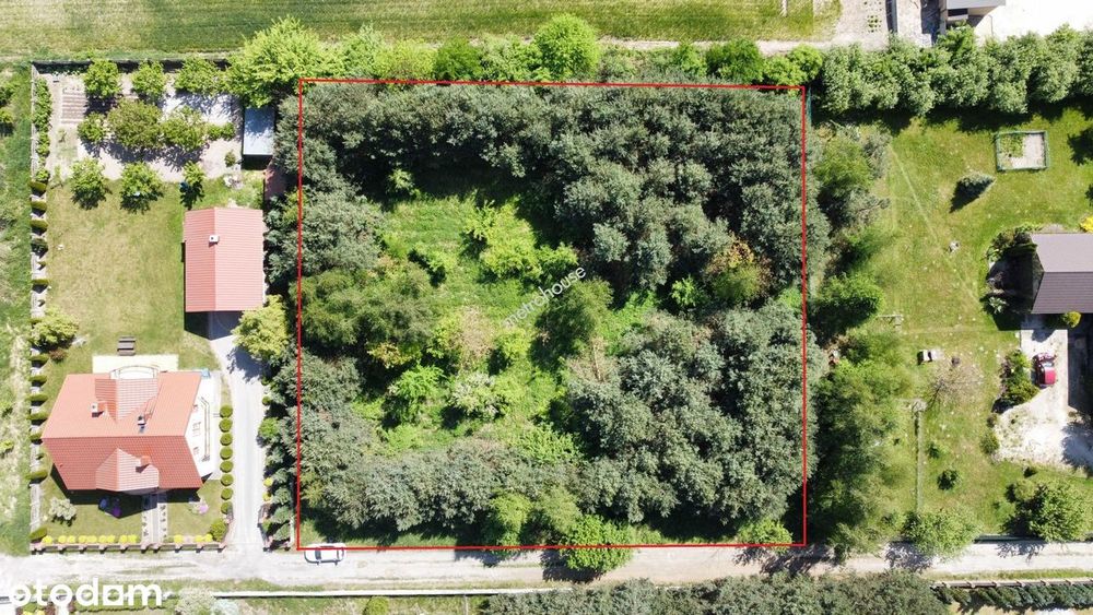 Działka z wydanymi WZ na dom jednorodzinny - Wilanów obok Jędrzejowa - Widok 2