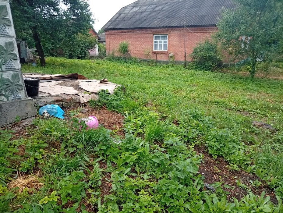 Продам хату в житловому стані з земельною ділянкою