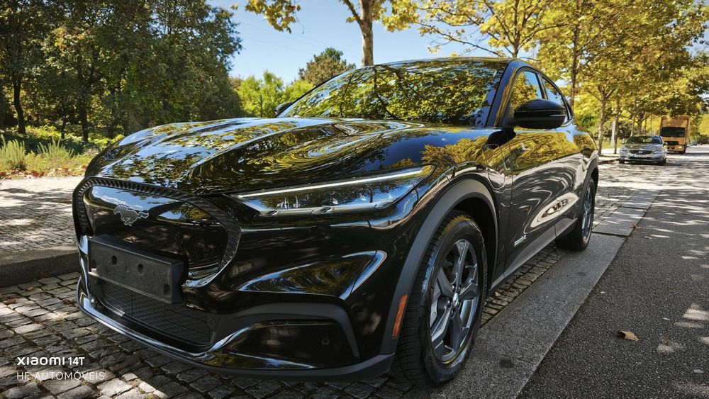 business-site-gallery-photo