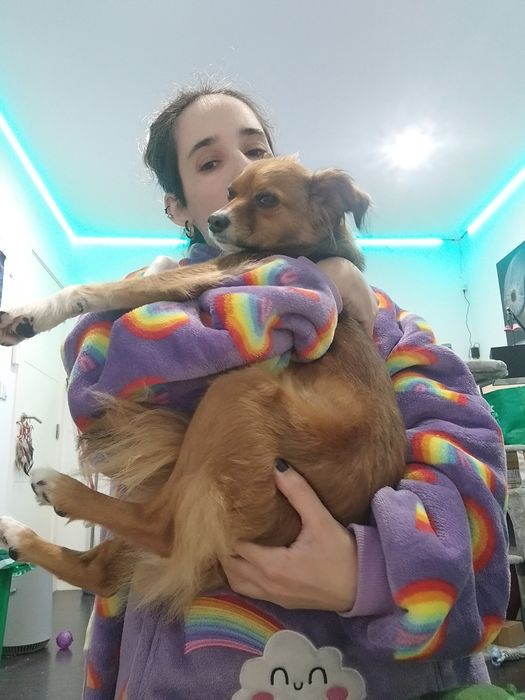 Hotel/creche incluindo exóticos e cuidados personalizados