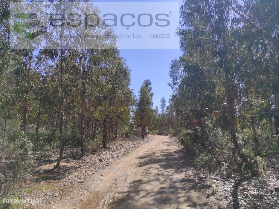 Terreno Rustico — Freixial E Juncal Do Campo, Castelo Branco