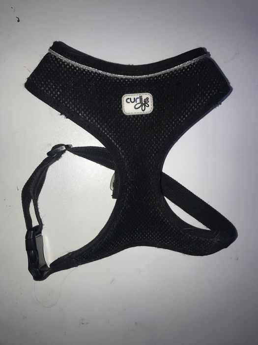 Шлейка для собак Curli розмір с м