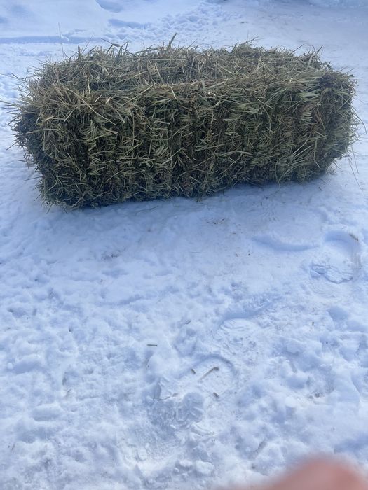Продаються тюки сіна