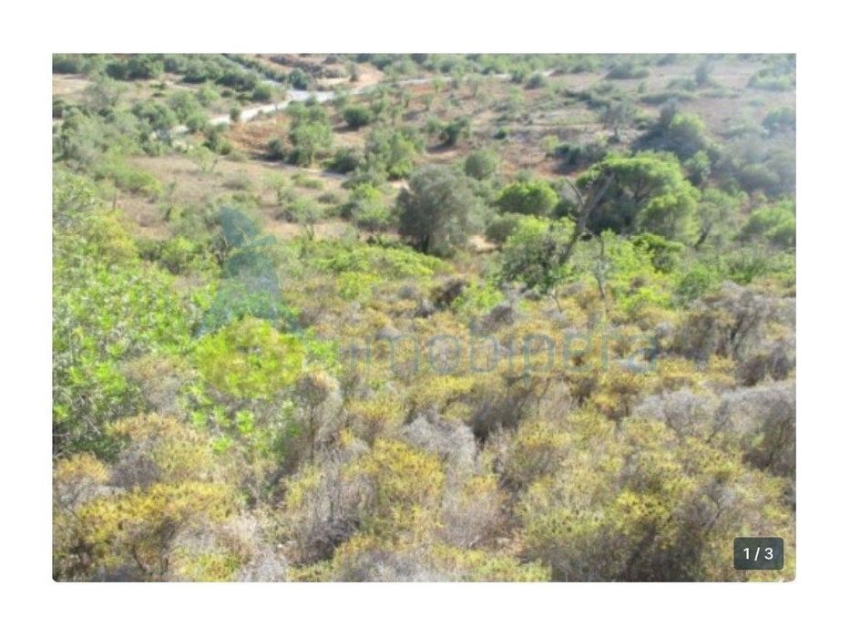 Terreno á venda próximo ao Vale Judeu — Boliqueime, Faro
