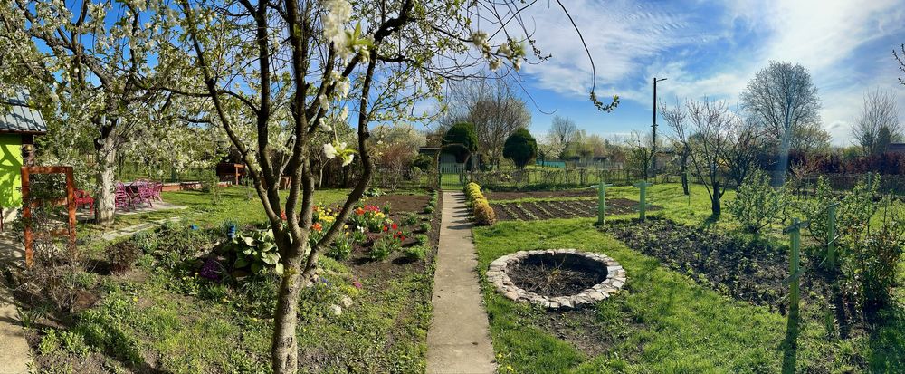 Malownicza działka ROD, duża powierzchnia.Mozliwość zakupu jednej.