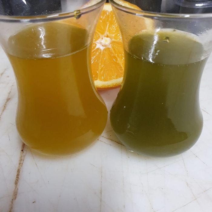 Oliwa z oliwek extra virgin najwyższej możliwej jakości kwasowość 0,2 polifenole ponad 1200mg