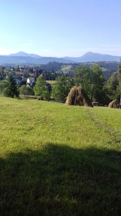 Відпочинок в Яблуниці біля Буковеля  з видом на Говерлу і Петрос