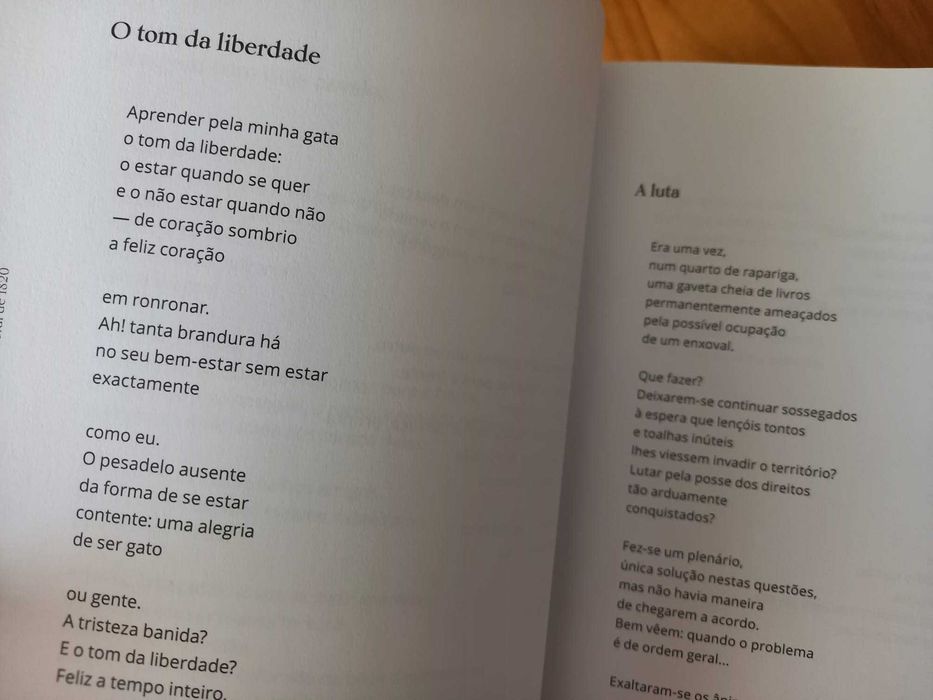 (NOVO, PORTES GRÁTIS) A Construção da(s) Liberdade(s)