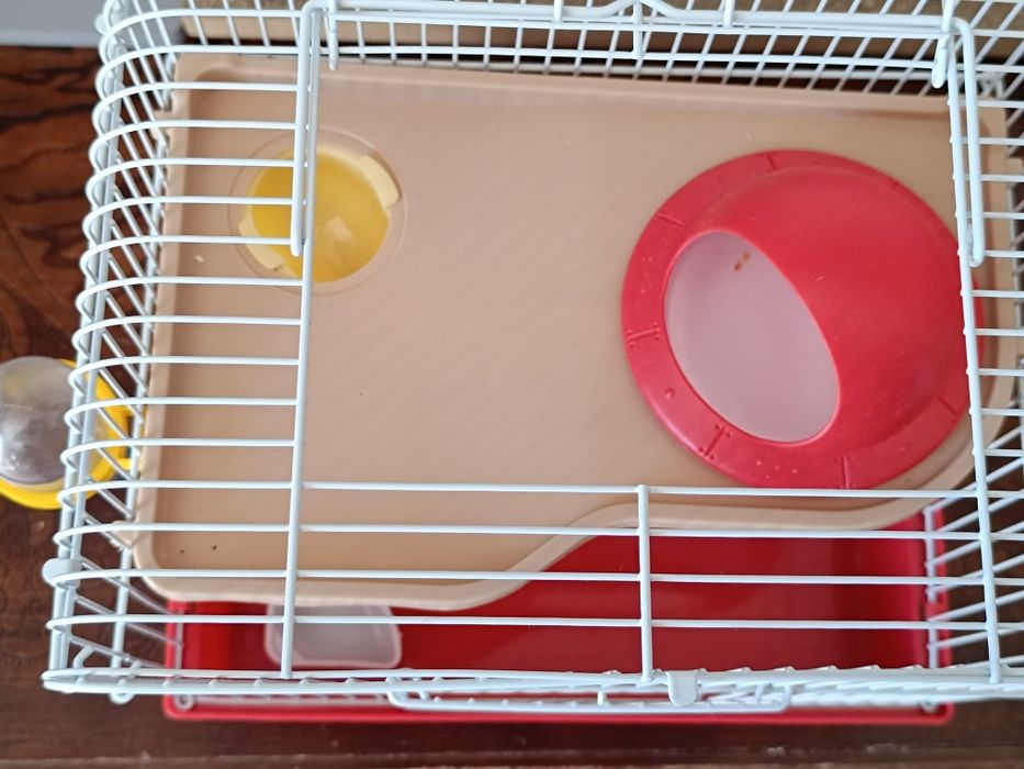 Casa para hamster usada apenas 2 meses Penafiel • OLX.pt