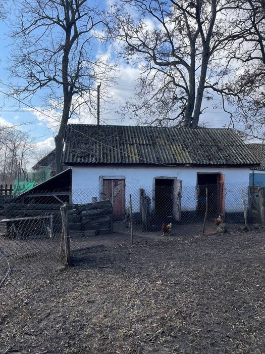 Будинок хата в селі