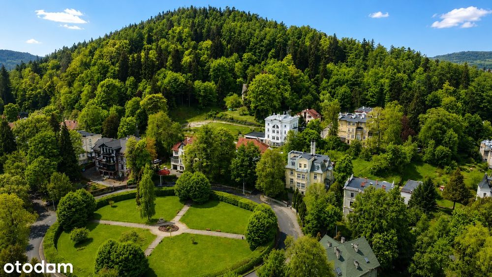 Zabytkowa kamienica| Winda | Strefa Uzdrowiskowa A - View 6