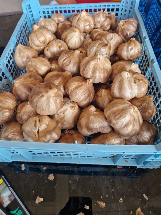 Czarny czosnek VITLOK. 500 gr