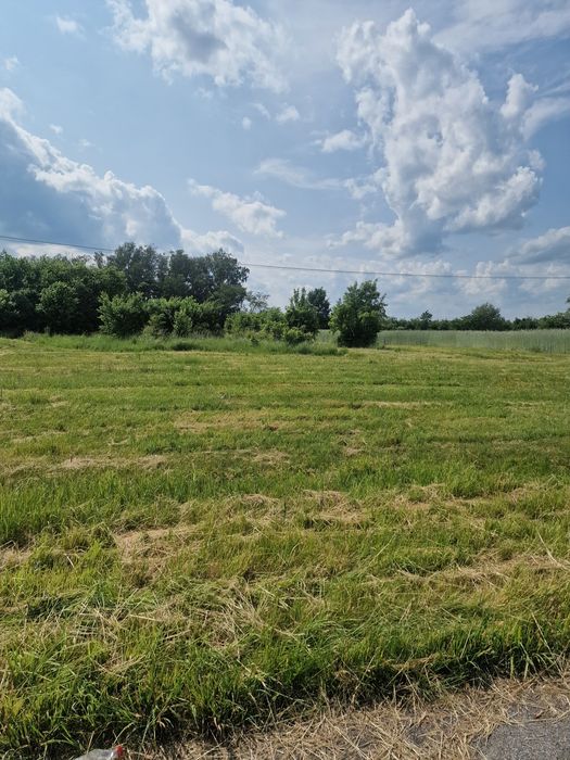 Sprzedam Działkę 3000 mk gmina Grójec z  WZ