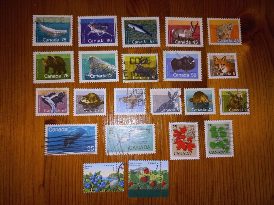 selos só fauna e flora