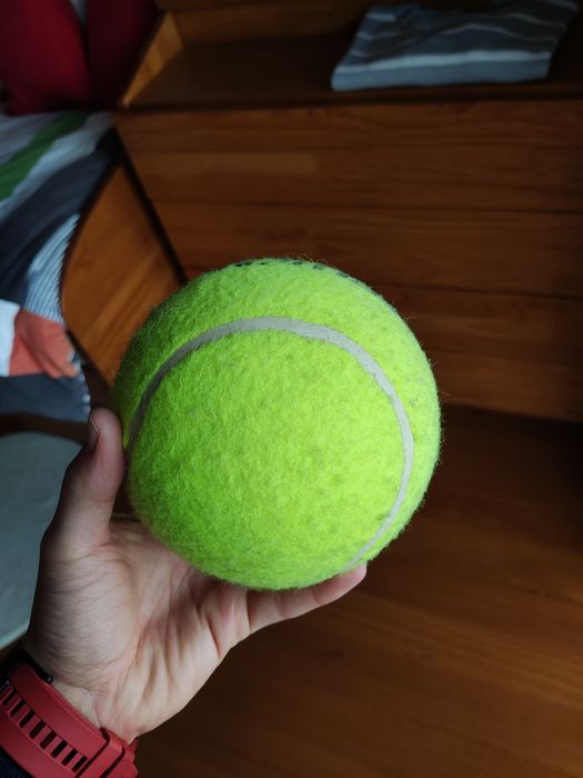 Bola Promaster (tamanho superior à de tenis)