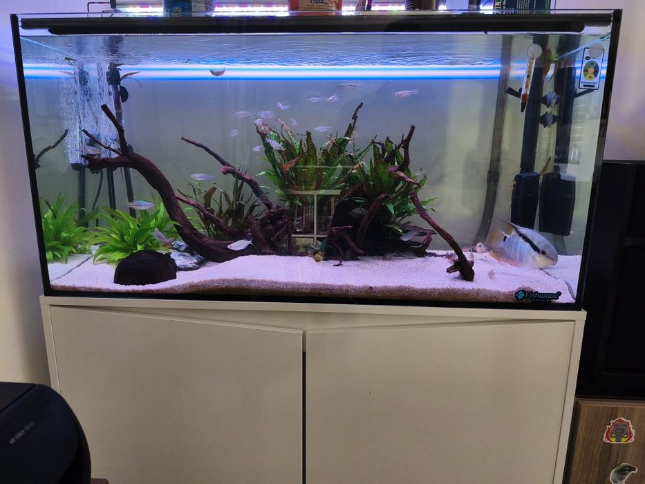 Aquário Aquatlantis