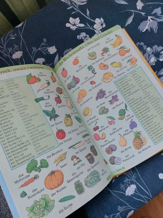 Ilustrowany słownik niemiecko-polski