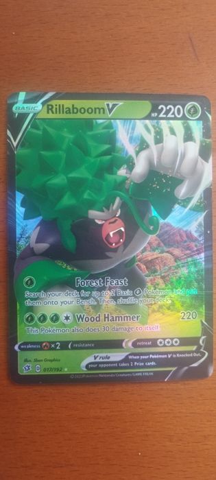 Riolu, Absol and Rillaboom (V)