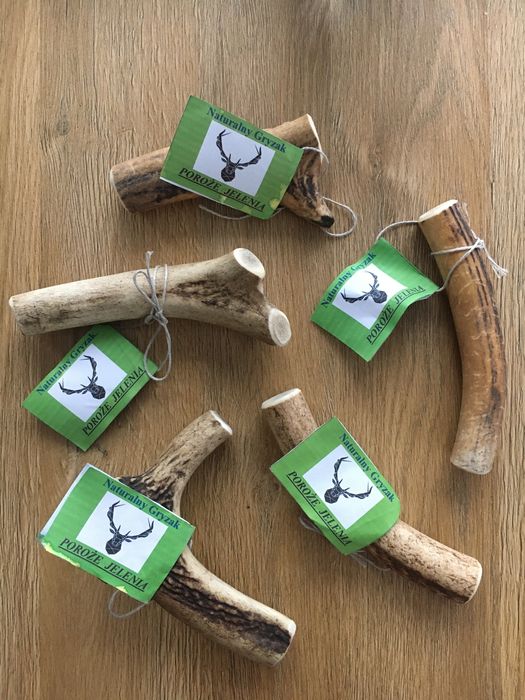 Gryzaki dla psa z poroża jelenia