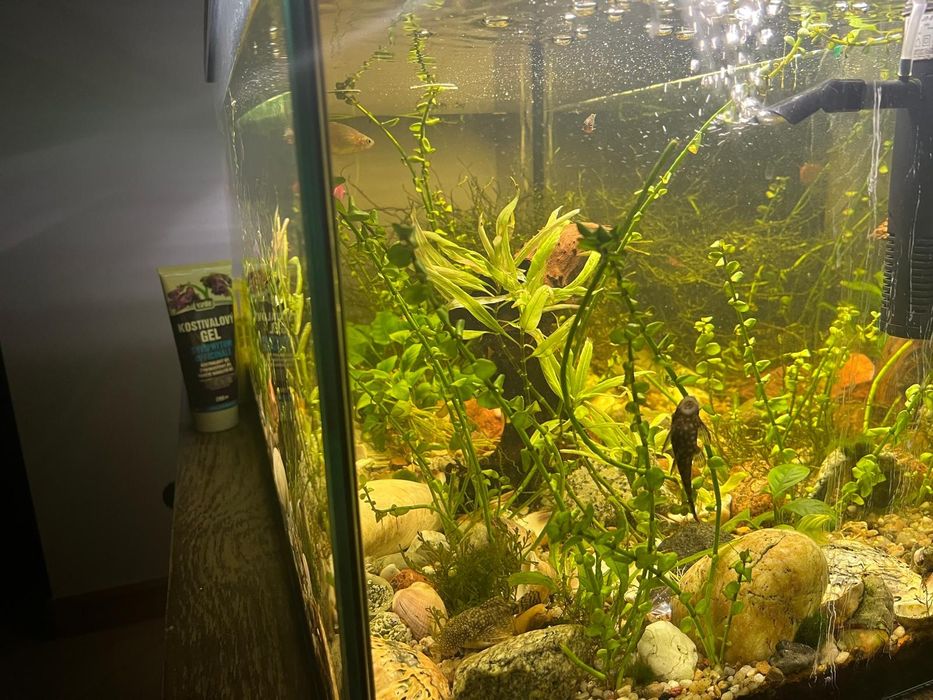 Sprzedam akwarium 112l