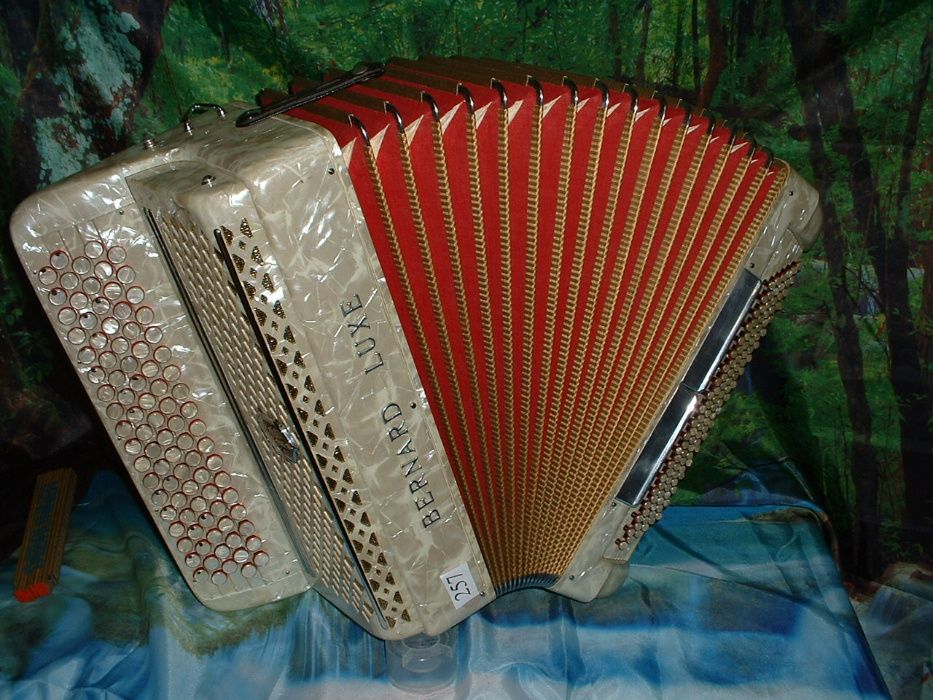 Acordeão Avenda G, .257