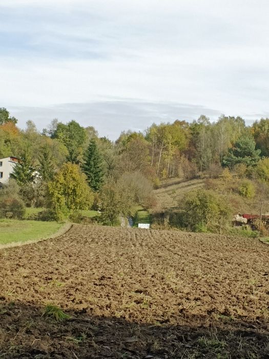 Sprzedam działkę - Widok 2