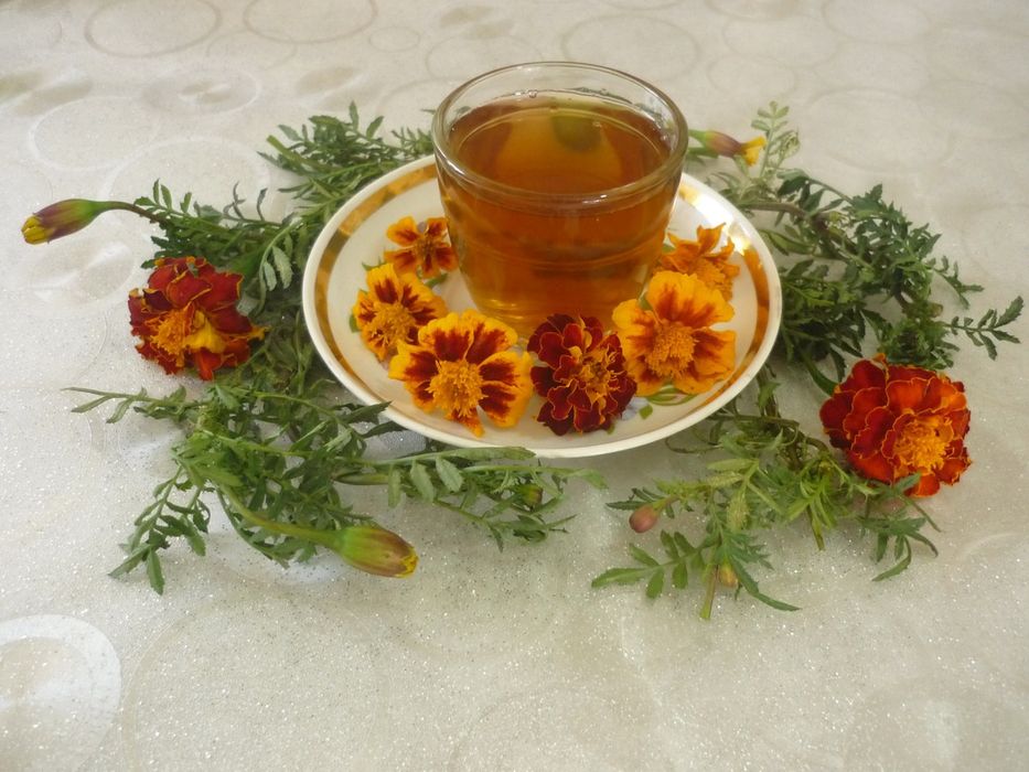 Чай из чернобривцев (бархатцев)