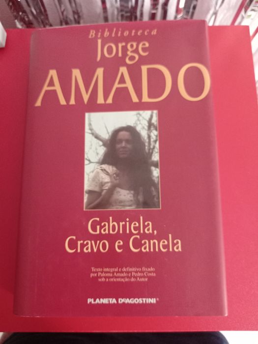 Livro Gabriela Cravo e Canela