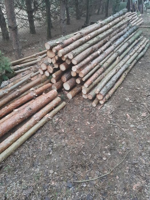 Stemple budowlane 3,1 m