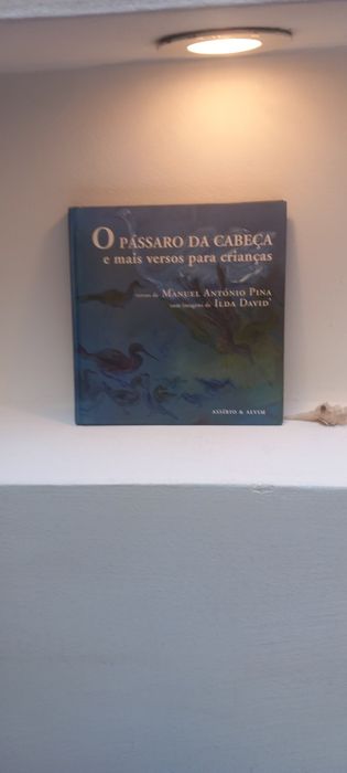Children's Book: The Bird on the Head and Other Verses for Children