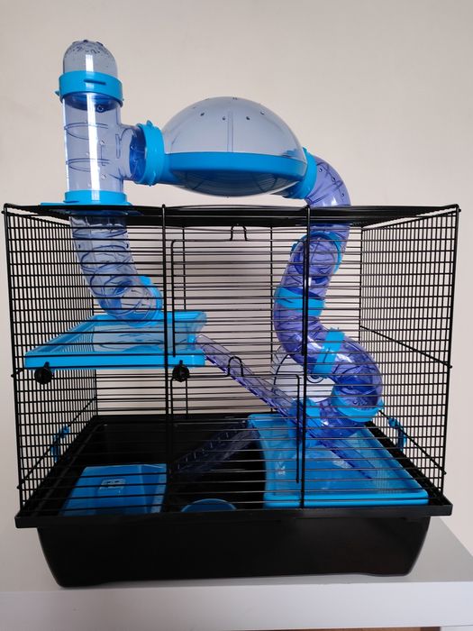 Klatka dla chomika gungalskiego z wyposażenie.