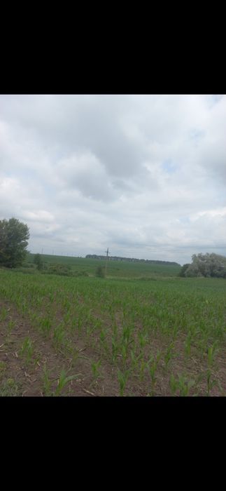 Продається ділянка для індивідуального садівництва - Вид 2