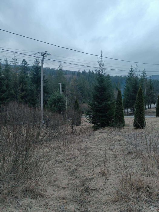 Земельна ділянка в Микуличині на обжитій вулиці