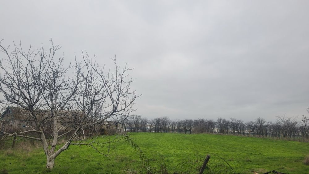 СРОЧНО! Продам дом в селе Мариновка — 35 км от Одессы