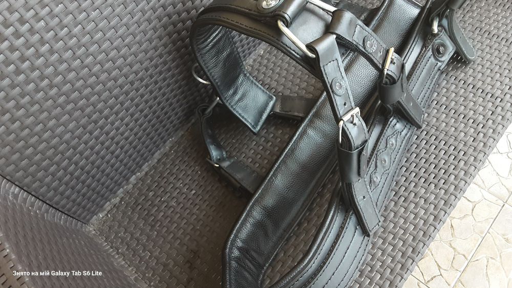 Шлея на коня з пожарного шланга