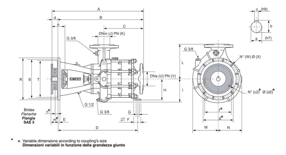 CAPRARI MEC-MG 100/3A Pompa Motopompa